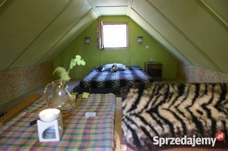 Domek Letniskowy w Grabinie k Płocka