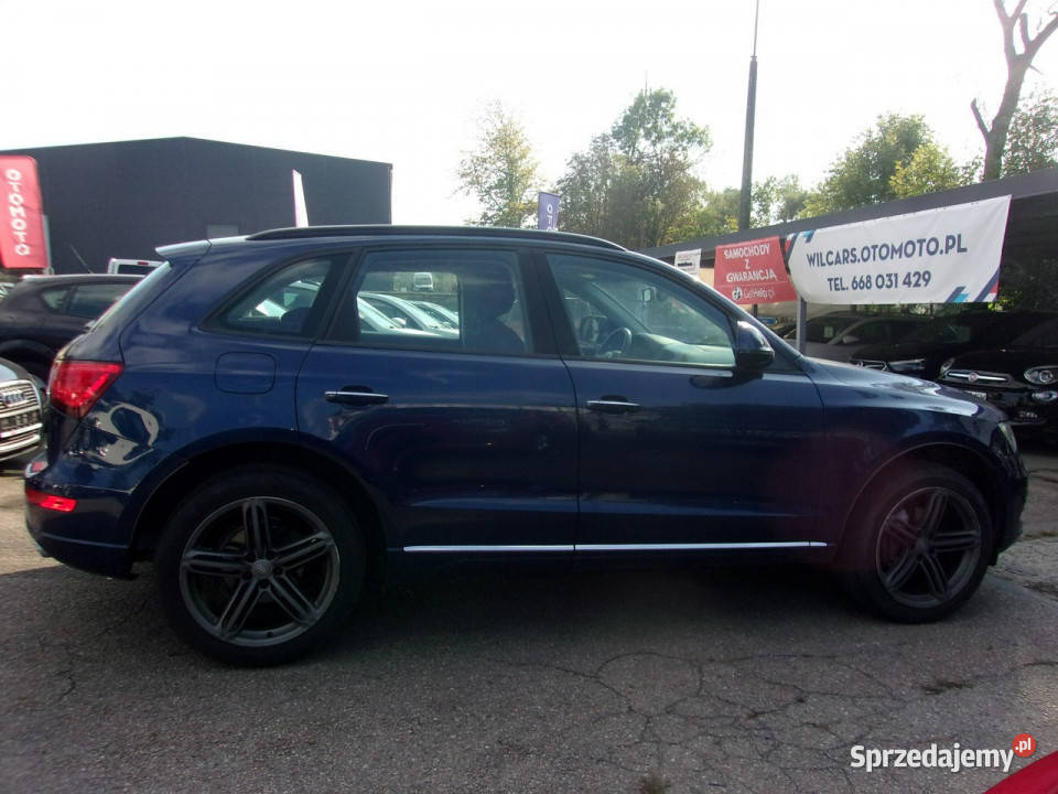 Audi Q5 20 T quattro Buisnes Hak Pdcx2 ESP