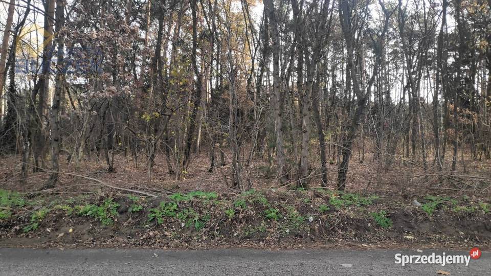 Sprzedam działkę budowlaną o pow 4432 m2 w asfalt Sprzedaż Kuznocin