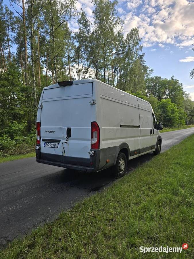 Fiat Ducato 23 Mutijet 2016r chłodnia FV23 ESP Nowe Miasteczko