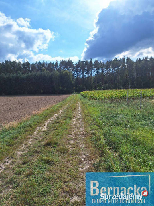 Działka budowlana Domanice