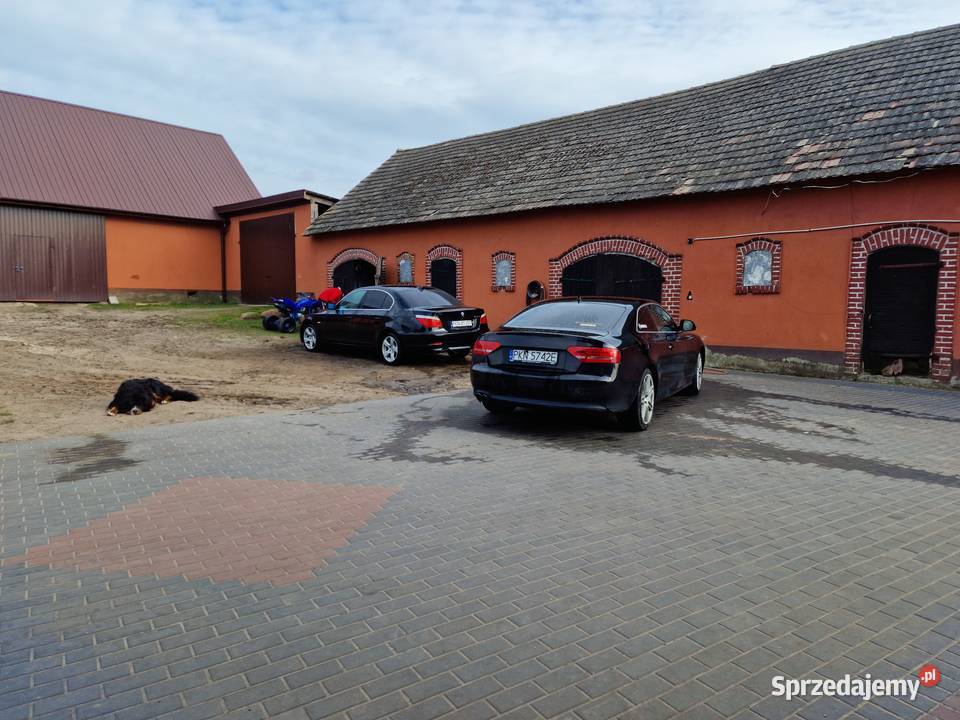 Bmw e60 530i 2008 CD