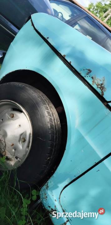 126p turchese farfalla 463 Bieliny