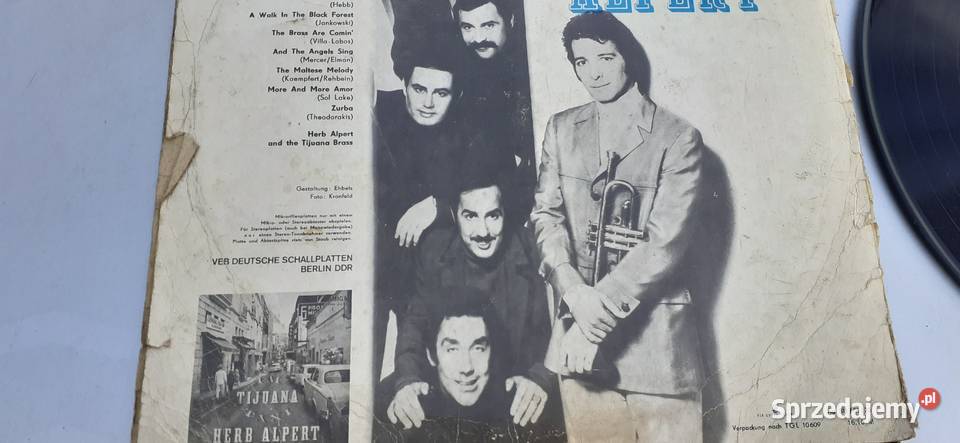 A banda herb alpertwinyl vintage pamiątka PRL