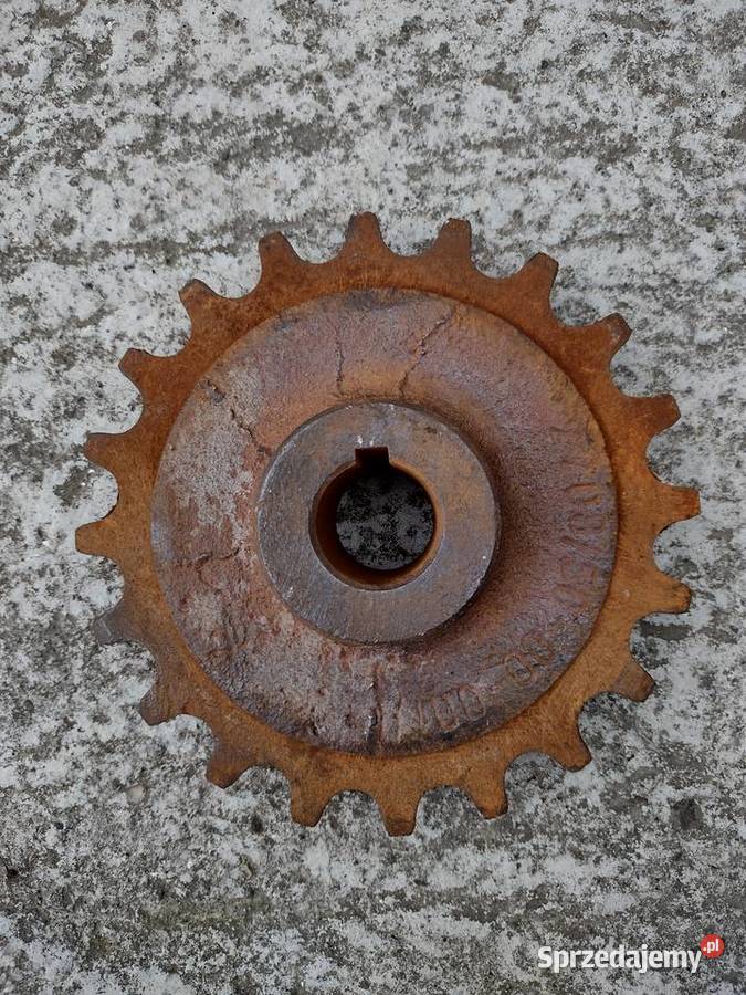 Koło zębate rozrzutnik obornika Gołcza