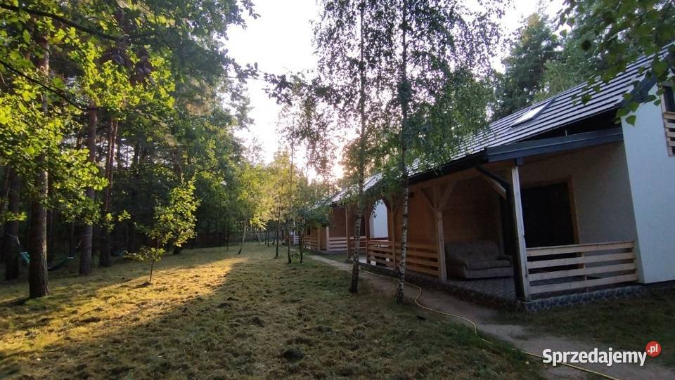 Wolny domek w lesie w weekend Wieliszew pod mazowieckie