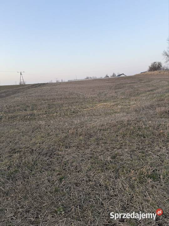 Działka budowlana Rożental