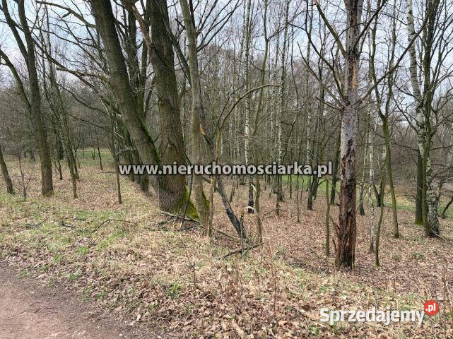 Sprzedam działka 10182m2 Wodzisław Śląski sprzedam