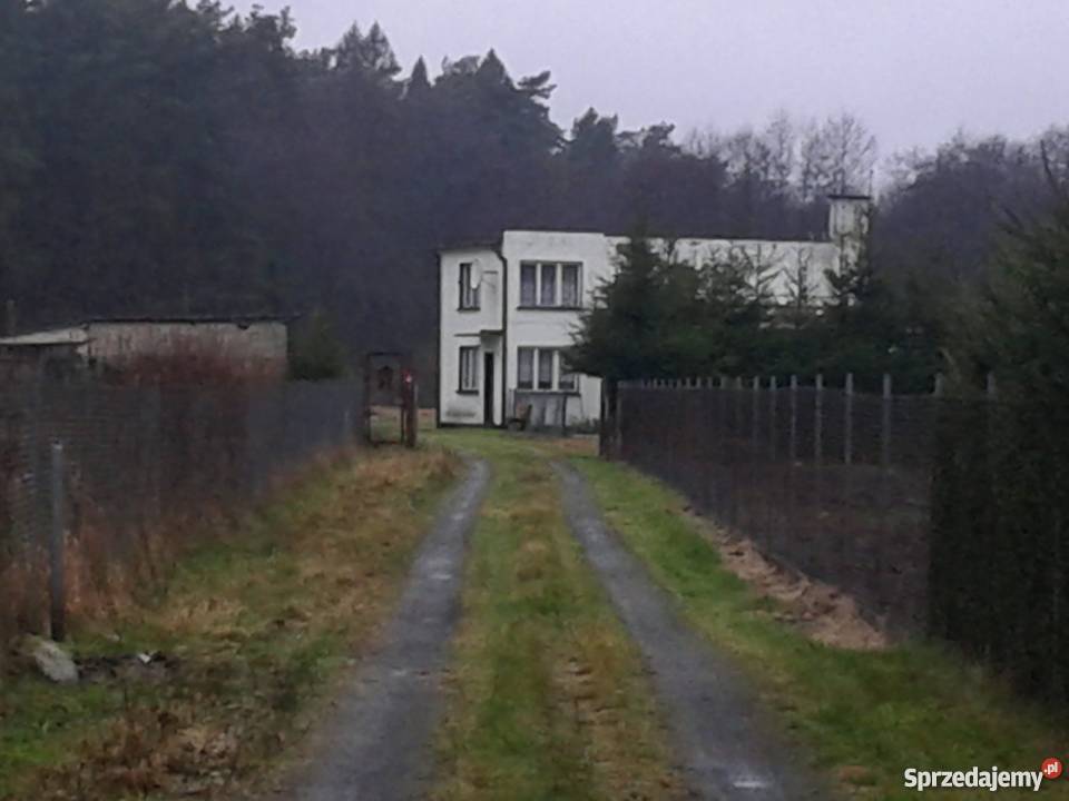 Dom ze stawami Rok budowy 1980