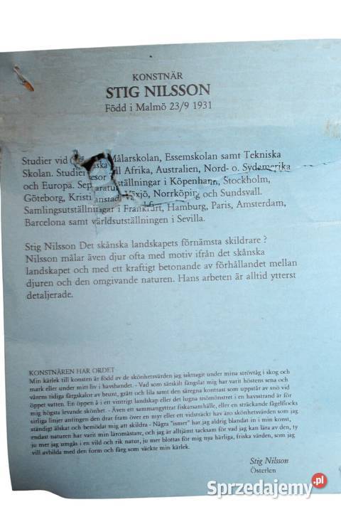 Obraz olejny na płótnie Stig Nillson 852