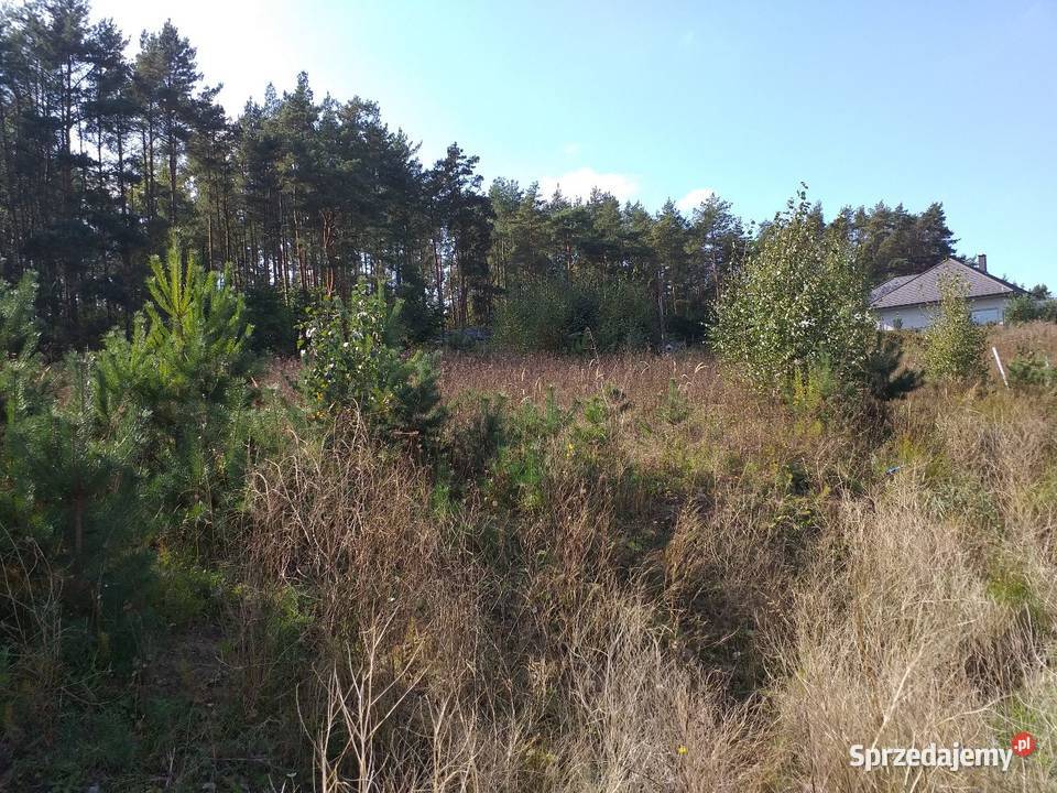 Działka budowlana Piła dolaszewo Osiedle na budowlana