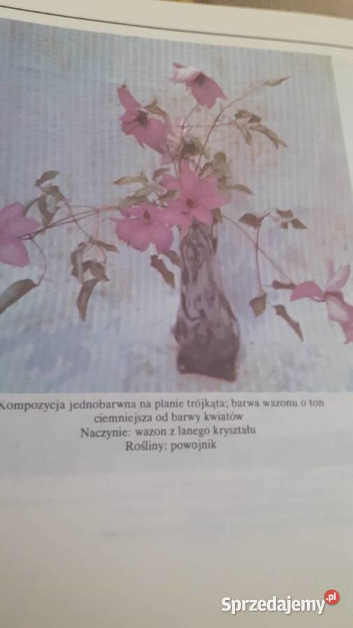 Układanki roślinne Rok wydania 1988 Szczecin