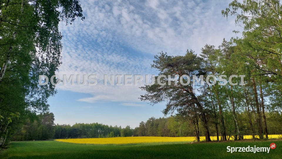 Sprzedam działka Grzmiąca 3511m2 sprzedam