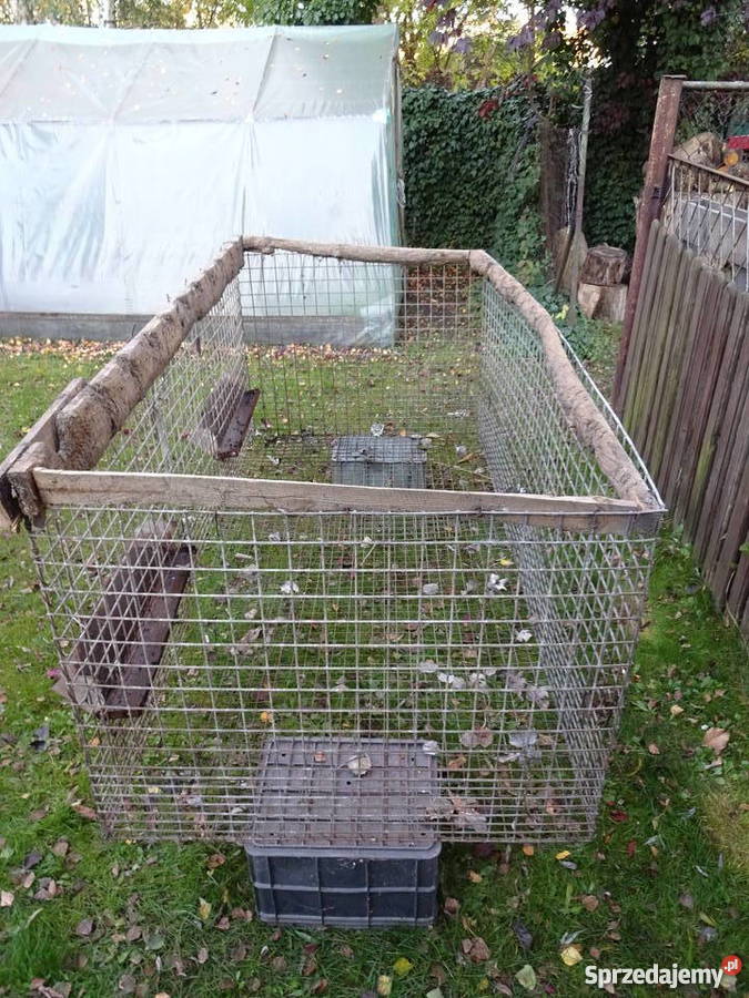 Klatki siatka ocynkowana lisy króliki tchórze Luboń