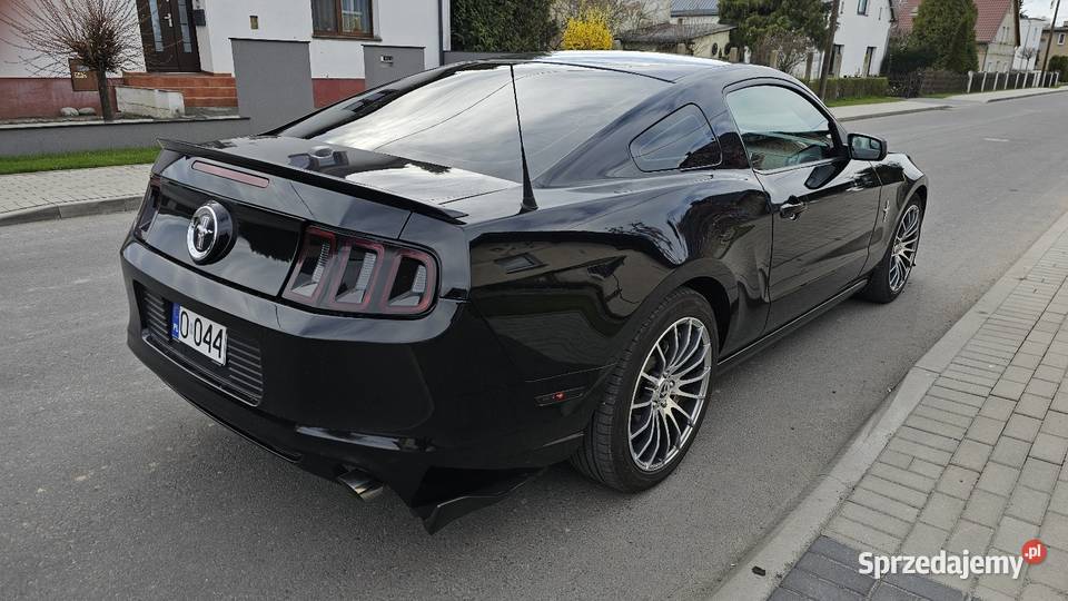 Mustang Premium 37 305 81000TKM ROUSH opolskie Głogówek