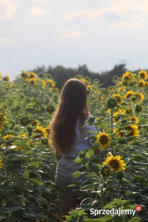 Canon EFEFS 80200 mm Bydgoszcz