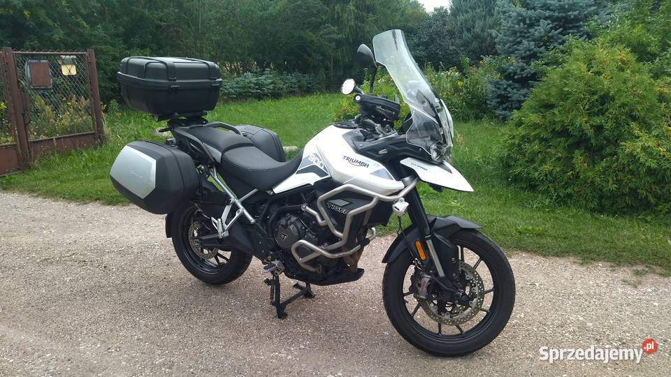 Triumph Tiger 900 GT PRO A2 doposażony biała Triumph Tuliszków