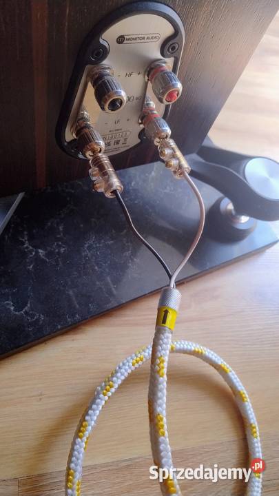 Audio Note Kondo Japan KSLSP 2x3m Pszczyna