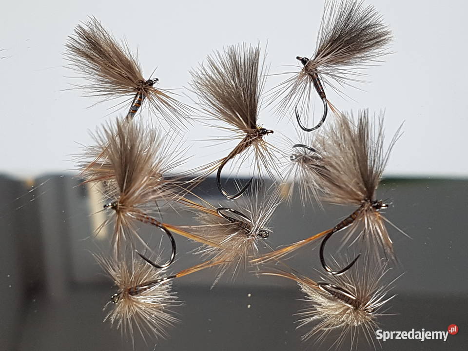 Sztuczne muchy jętki CDC dolnośląskie Leśna