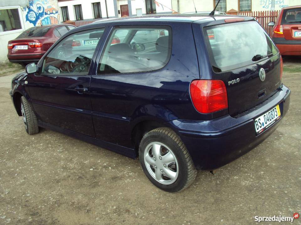 Volkswagen Polo granatowy 0KM Końskie