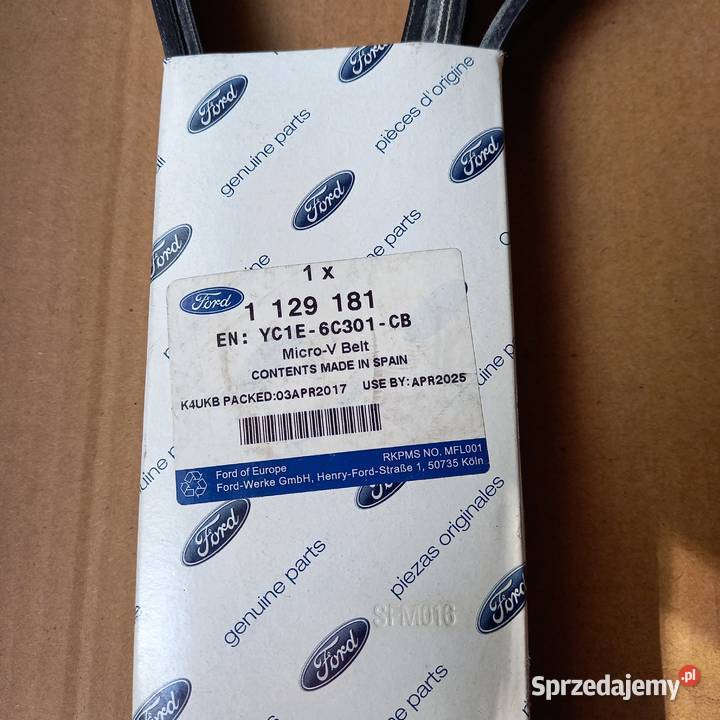 1129181 Pasek wieloklinowy 24 TDDi TDCi Transit