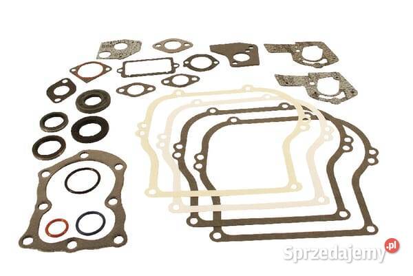 Zestaw uszczelek 495603 Kamionna