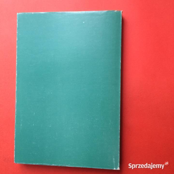 2196 Płoty sprzedam