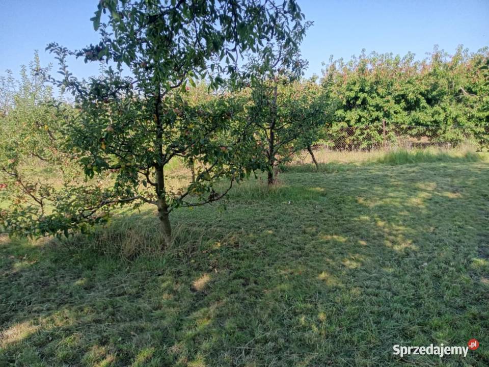 Działka sad Annopol