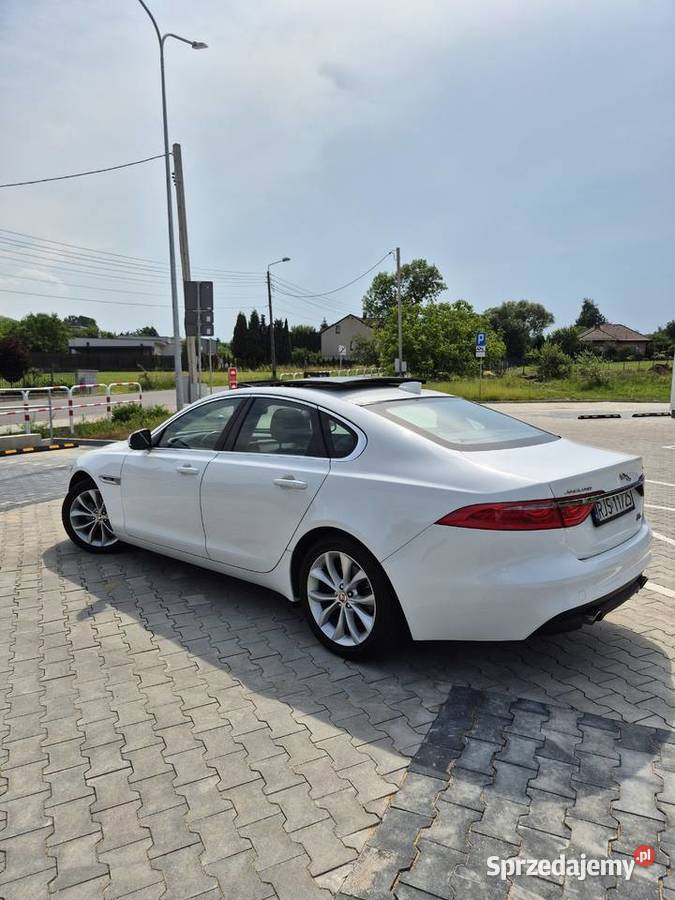 Jaguar XF Premium 2019r 91tkm 20 250 AWD Rok produkcji 2019 Będzin