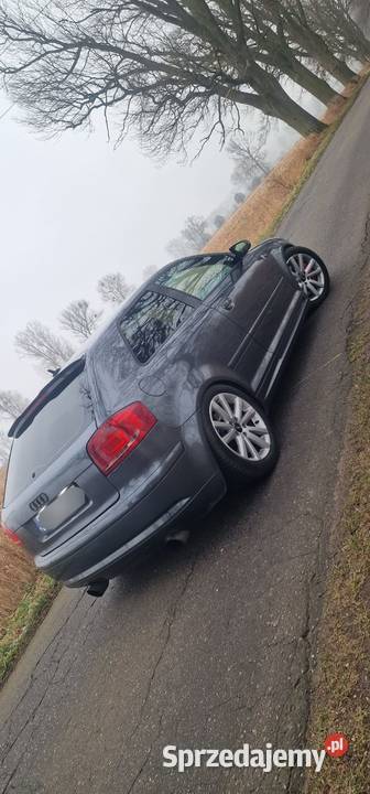 Audi A3 8P 20TDI DSG Stargard