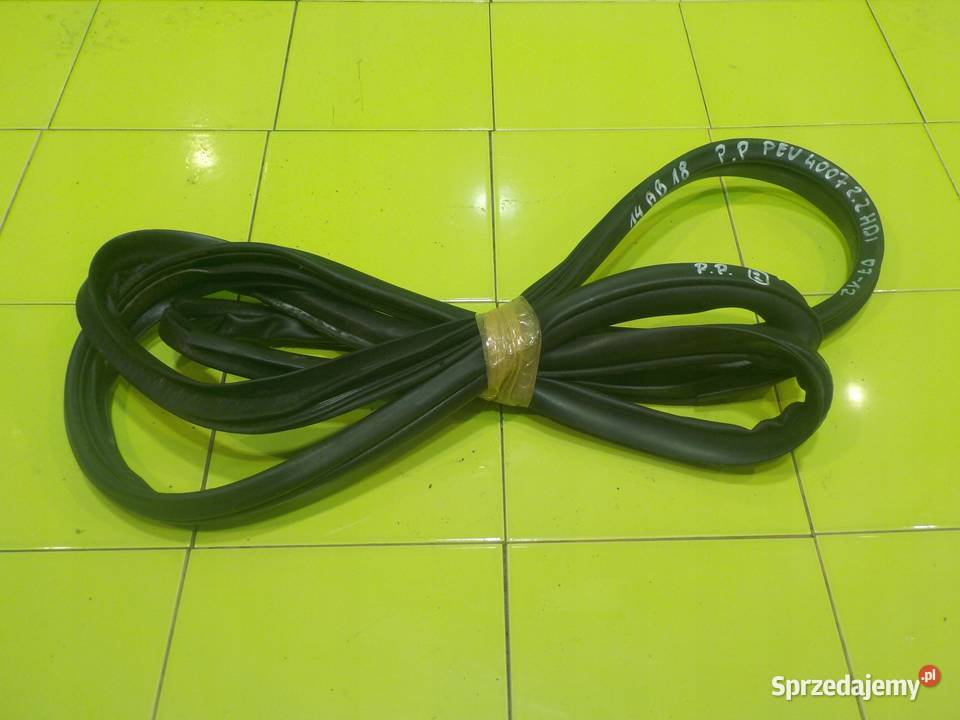 PEUGEOT 4007 22 HDI 09r 5D uszczelka drzwi prawa Suków sprzedam