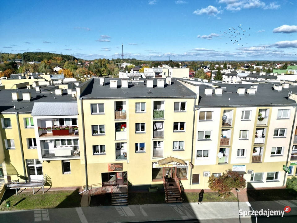 Lokal na parterze 7445 m2 Zachodniej Chełm