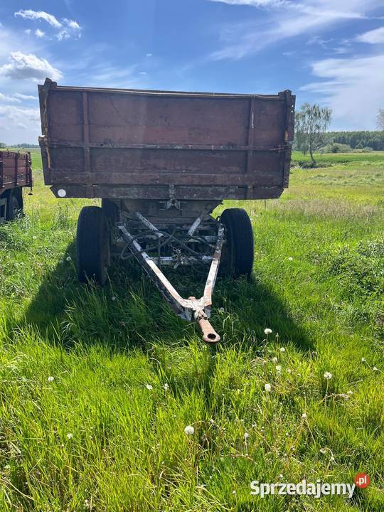 Przyczepa hl 8011 zarejstrowana 8 ton Mokronosy