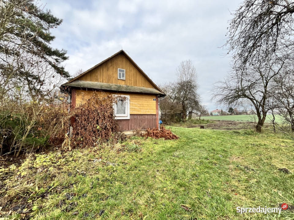 Działka z zabudowaniami w HostynnemKolonii Hostynne-Kolonia sprzedam