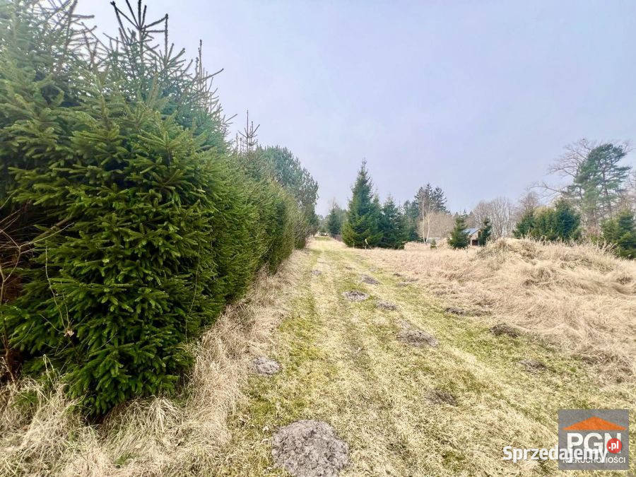 Działka Gostyniec 3007m2 budowlana zachodniopomorskie