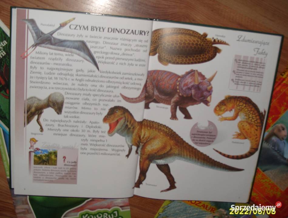 Zestaw 5 książek o dinozaurach dla przedszkolaków (3-5 lat)  wielkopolskie Rawicz sprzedam