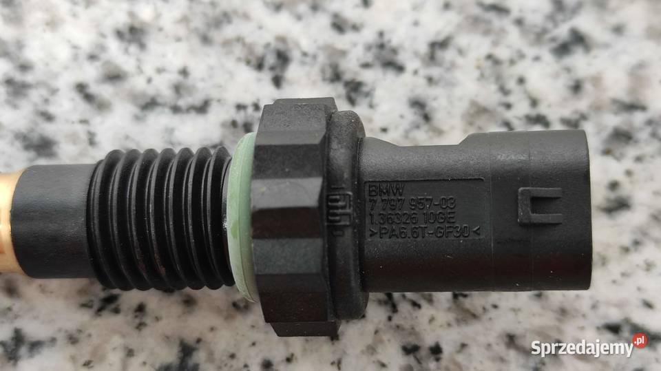 czujnik temperatury wody Polska Nowa Wieś