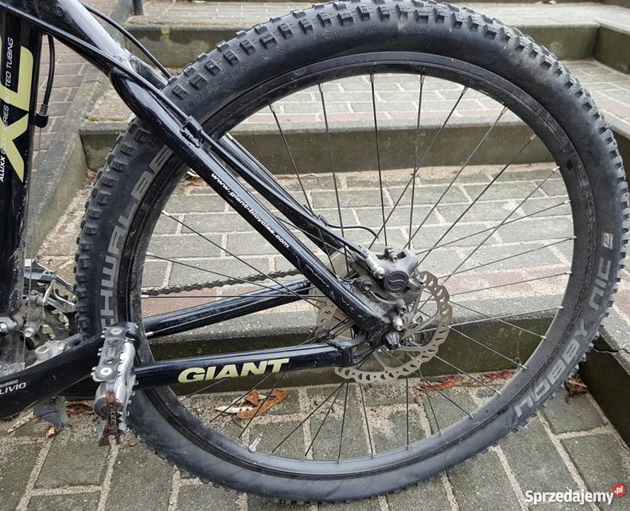 Rower Giant Terrago 2 Starogard Gdański