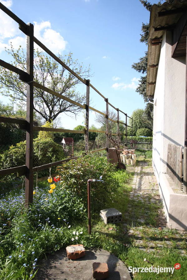 Zadbana działka ROD Ławica wielkopolskie Poznań