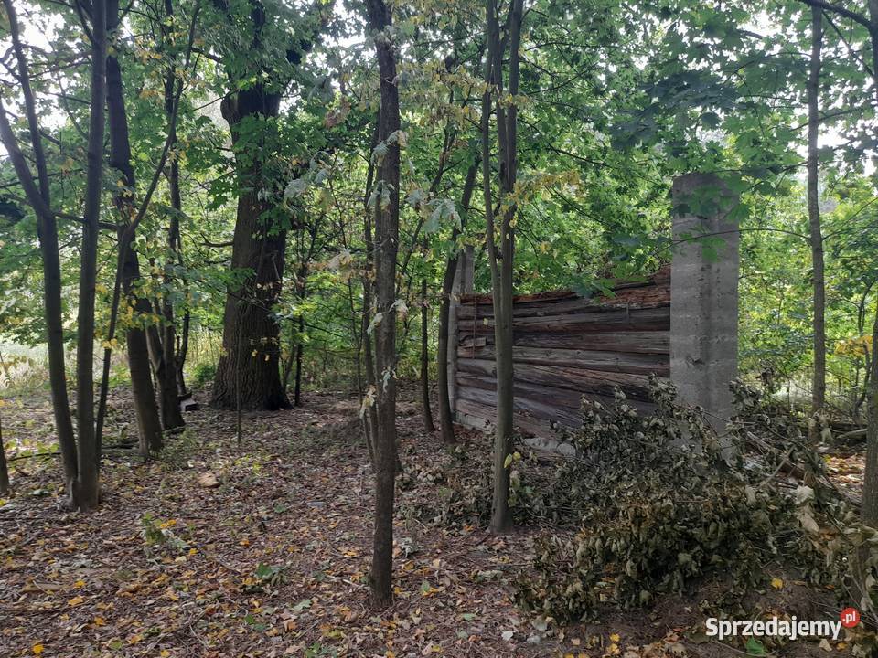 Syndyk sprzeda udziały w grunatach Jastkowice sprzedam