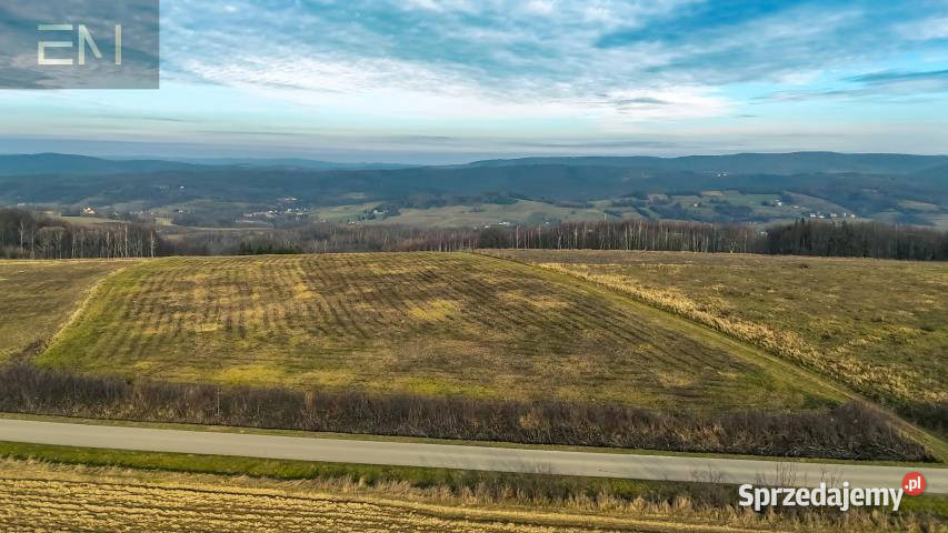 Ziemia na sprzedaż 10200m2 Gogołów