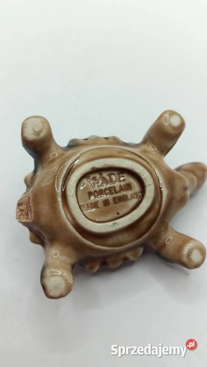 Figurka brązowego żółwia Wadę lubelskie Zamość