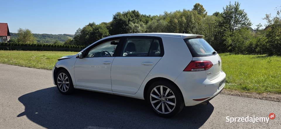 Volkswagen Golf VII 16 TDI uszkodzony Stanisław Górny