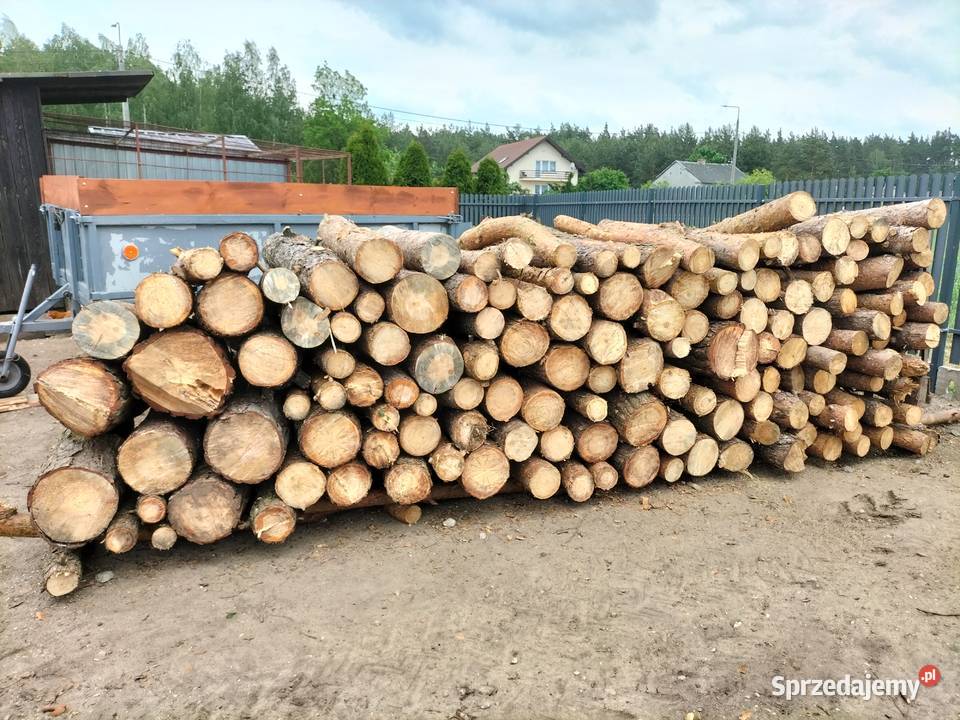 Drewno opałowe sosnowe Mława