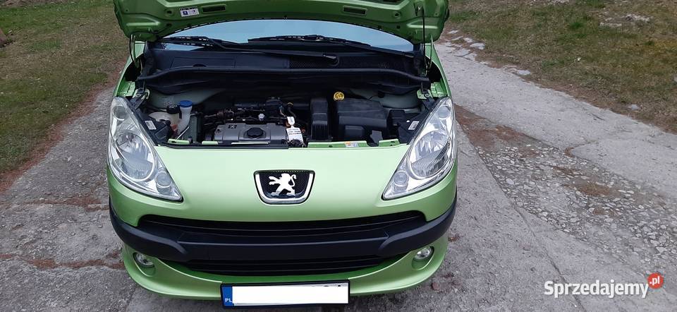 Peugeot 1007 14 8v 75 2005 Doinwestowany Sprawny zielony Nałęczów