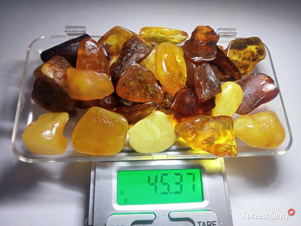 Zestaw naturalnych bursztynów bałtyckich Gdańsk