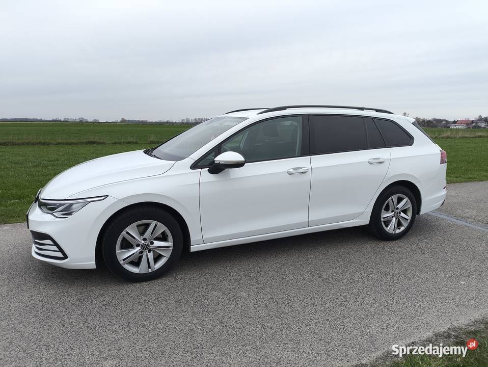 Golf 8 Tdi sprzedam
