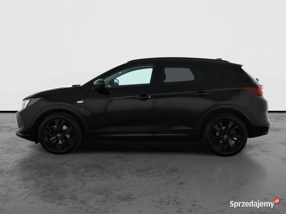 Opel Grandland Plugin Hybrid4 radio Opel Piaseczno