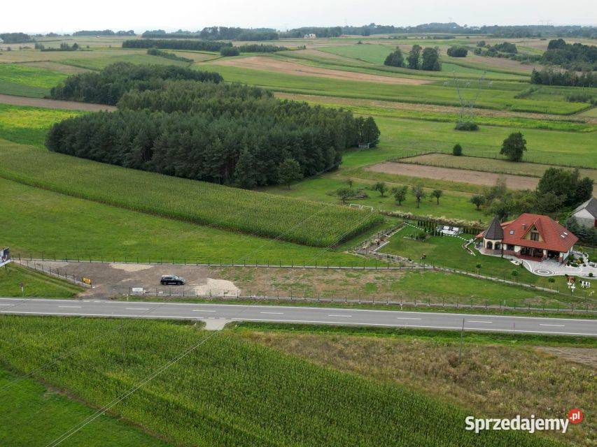 Działka Lisia Góra 19 arów pod wynajem