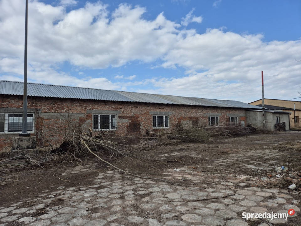 Budynek przemysłowomagazynowy 5707 m działka Nieruchomości Wola Krzysztoporska